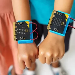 CHARGE Rechargeable Battery Pack for micro:bit(10-pack without micro:bit)